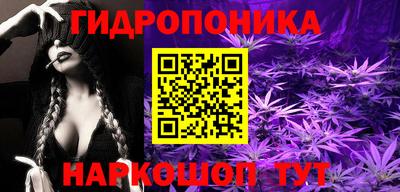 стафф Гатчина