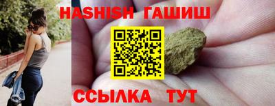 стафф Гатчина