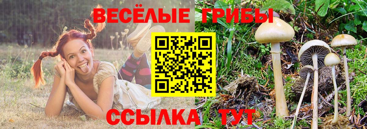 Псилоцибиновые грибы мухоморы  Галлюциногенные грибы GOLDEN TEACHER  Вход с VPN  Минусинск 